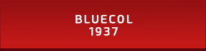 bluecol hi